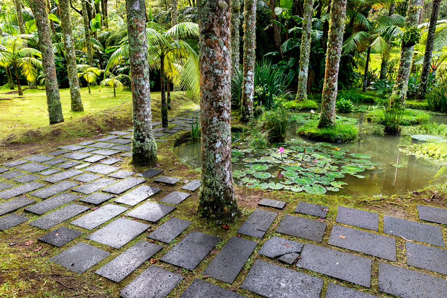 Botani Ni Vrt Parque Terra Nostra Azori Popotni Ki Blog Fotografski