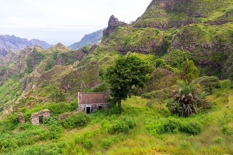 Treking Med Vasicama Corda In Coculi Santo Antao Zelenortski Otoki